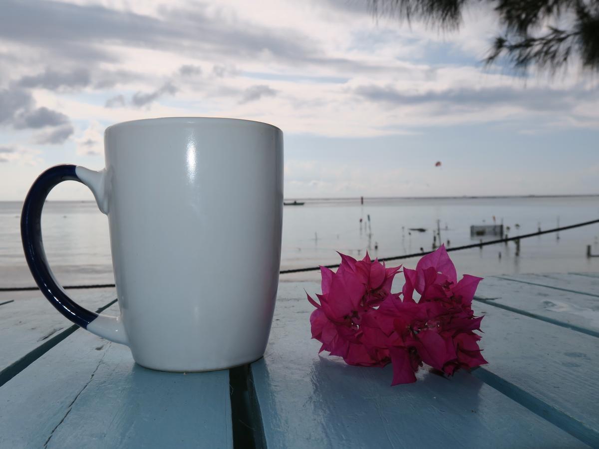 Eco Hotel Club Rolling Stone Boca Chica Bagian luar foto